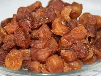 تصویر 4 از قیمت خرید آلو بخارا کبرایی + فروش ویژه